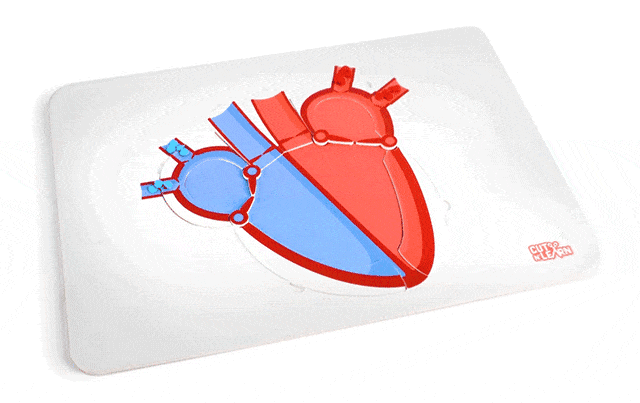 Зүрхний цохилт