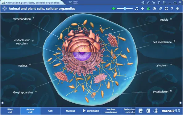Дижитал сургалтын шинэлэг шийдэл
