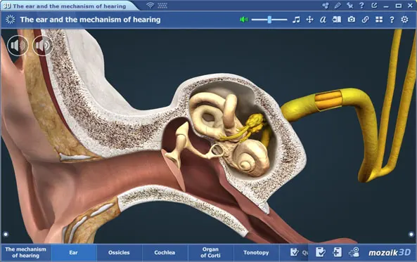 Дижитал сургалтын шинэлэг шийдэл