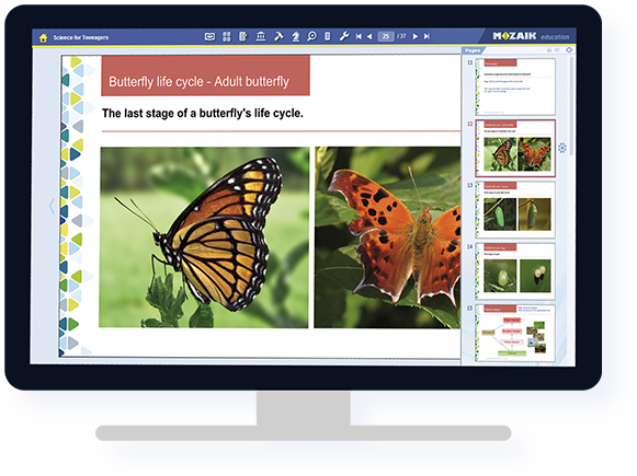 mozaWeb дээр хуваалцах, синхрончлох