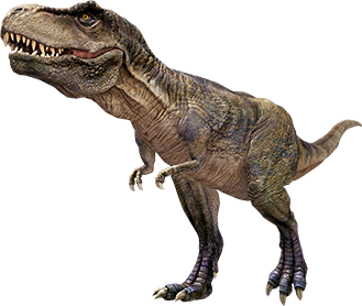 Үзүүлэн дээр ашиглах