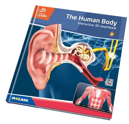 800 3D үзэгдэл бүхий 20 боть цуврал ном