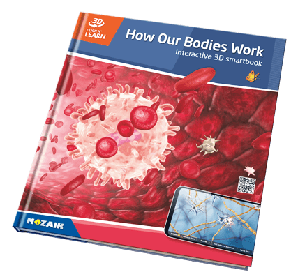 800 3D үзэгдэл бүхий 20 боть цуврал ном