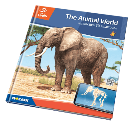 800 3D үзэгдэл бүхий 20 боть цуврал ном