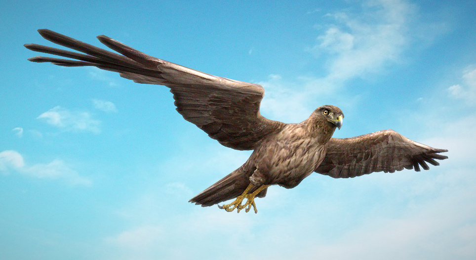 Намгийн хулд