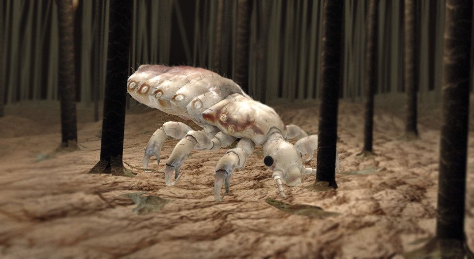 Толгойн бөөс