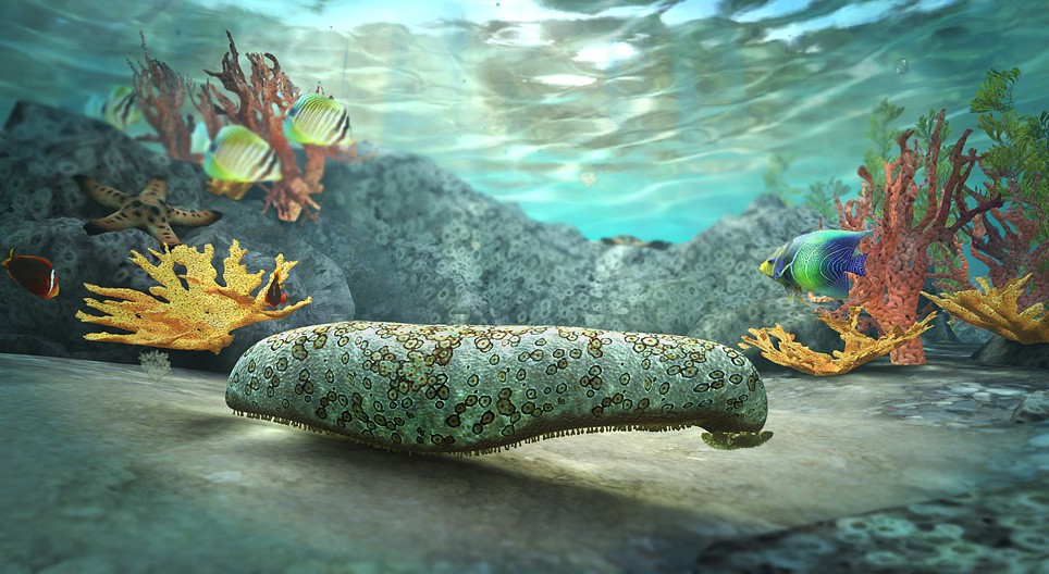 Далайн бортгондой