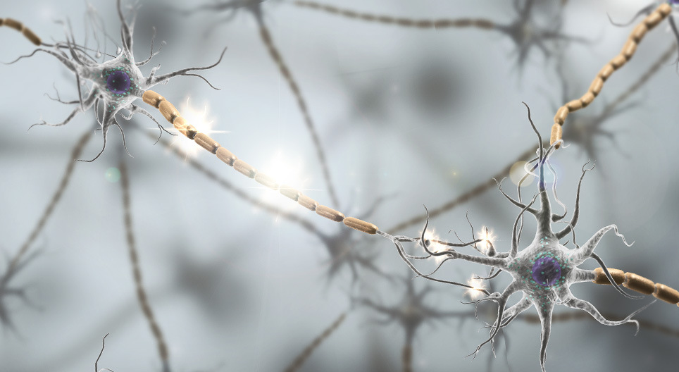 Мэдрэлийн импульс дамжих