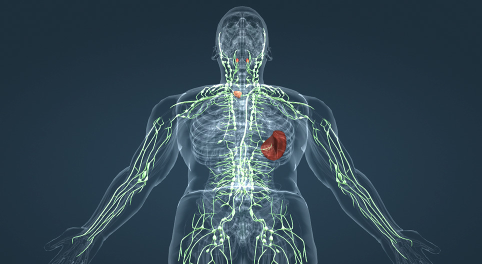 Тунгалгийн систем