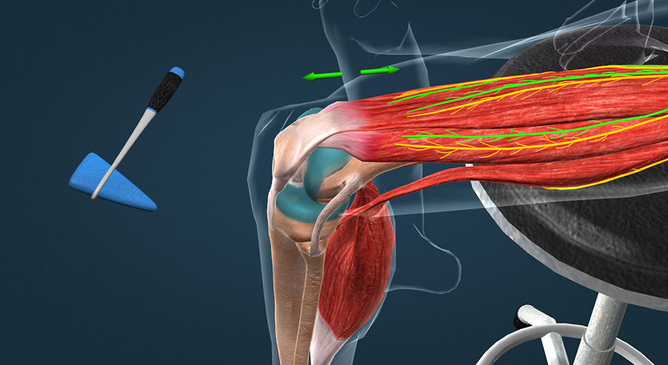 Өвдөгний рефлекс