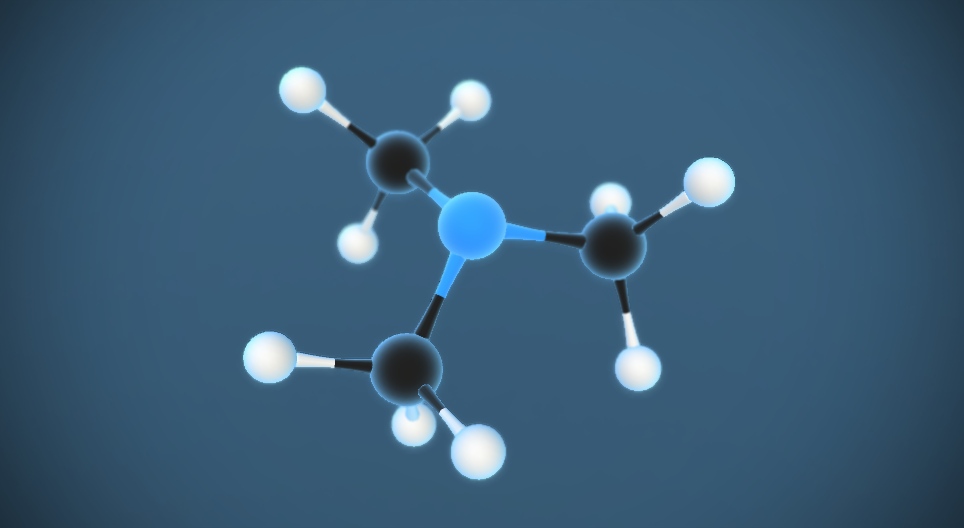 Триметил амин N(CH₃)₃