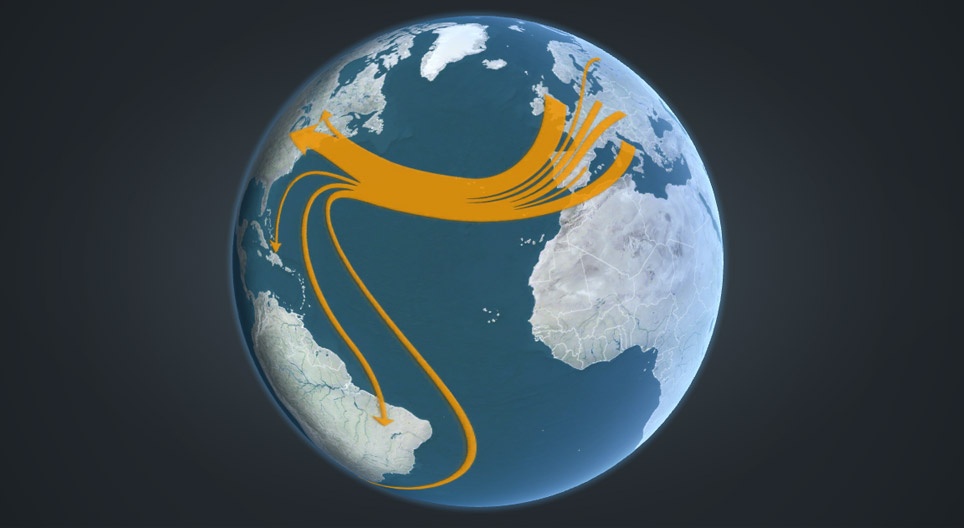 Хүн төрөлхтний шилжилт хөдөлгөөний түүх