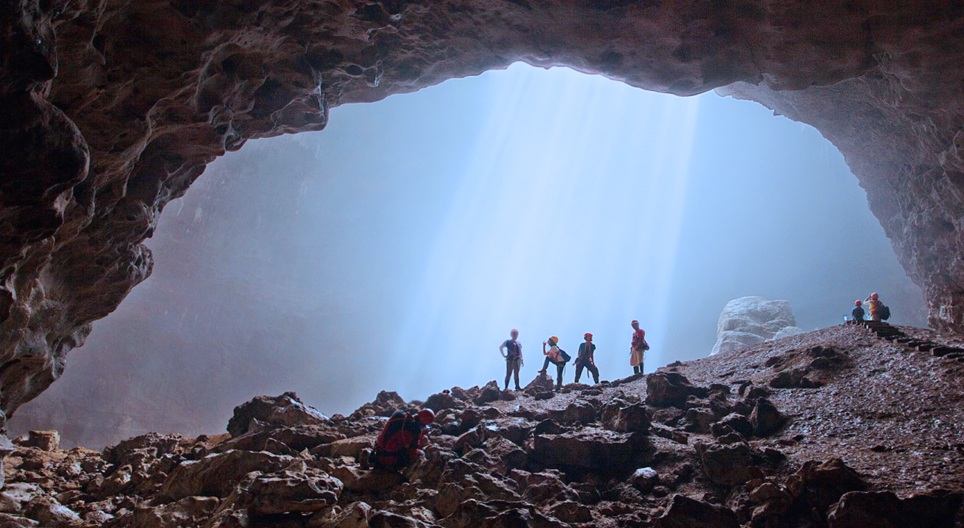 Сургалтын видео