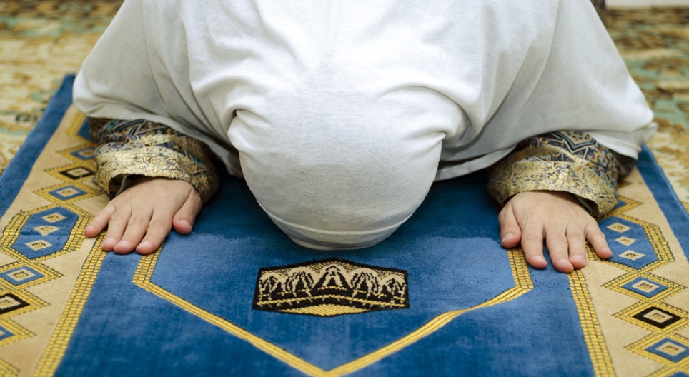 Сургалтын видео