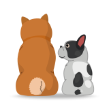 Араас нь харахад