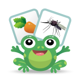 Тохирох зургууд