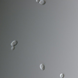 Кандида мөөгөнцөр (ихэнхдээ үтрээний халдвар үүсгэдэг)