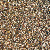 Голын тунамал