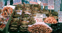 Далайн гаралтай хоол хүнс бол чухал хүнсний эх үүсвэр юм