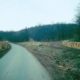 Замын хажууд хураасан гуалин моднууд