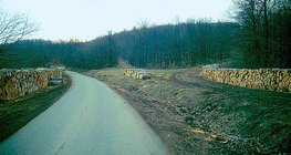 Замын хажууд хураасан гуалин моднууд