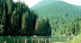 Улаан нуур, Румын улс