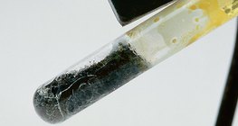 Төмрийн сульфид