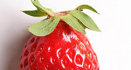 Гүзээлзгэнэ