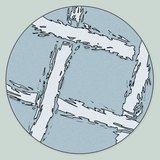 Самбай даавууны микроскопоор авсан зураг