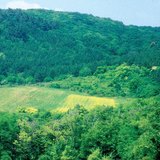 Зэрлэг амьтдыг тэжээх талбай