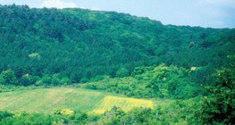 Зэрлэг амьтдыг тэжээх талбай