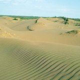 Салхины долгионтой элсэн манхан