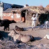 Азийн тосгон