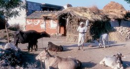 Азийн тосгон