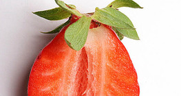 Гүзээлзгэнэ