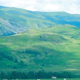 Бэлчиж буй хонь, Их Британи