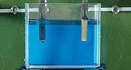 Зэсийн сульфатын (CuSO4) усан уусмал дахь зэс нь катод дээр ялгардаг