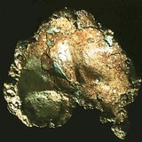 A vértesszőlősi előember, „Samu” tarkócsontja