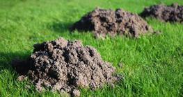 Сохор номингийн овоонууд