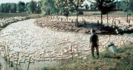 Нугасны ферм