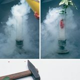 Шингэн агааранд хөлдөөсөн цэцэг нь шаазан шиг хэврэг болдог