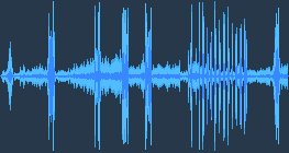 Western marsh harrier