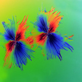 Одон үсэнцэр