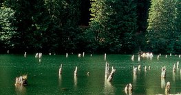 Трансильванийн Улаан нуур нь хөрсний гулсалтаас үүссэн.