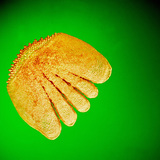 Хайрс (алгана загас)