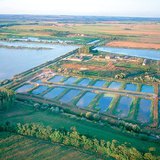 Загаст нуурууд