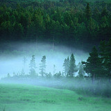 Манант өглөө