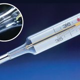 Халууны шил