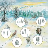 Цасан дээрх амьтдын мөр