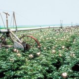 Өөрөө явагч автомат усалгааны төхөөрөмж